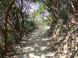 Hong Kong Trail at Dragon Back